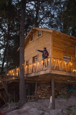 Wooden Inn - Cabañas Boutique y Bubble Glamping en Creel